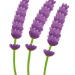 flower_lavender[1]