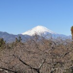 令和7年1月30日撮影