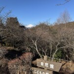 令和7年1月30日撮影