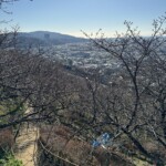 令和7年1月30日撮影