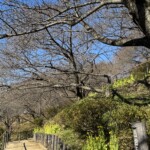 令和7年1月30日撮影