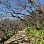 令和7年1月30日撮影