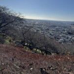 令和7年1月30日撮影