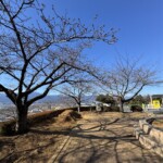 令和7年1月30日撮影