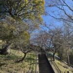 令和7年1月30日撮影