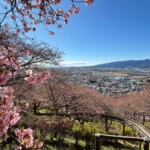 令和7年2月19日撮影