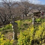 令和7年2月14日 撮影