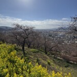 令和7年2月14日 撮影