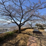 令和7年2月14日 撮影