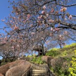 令和7年2月14日 撮影