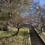 令和7年2月14日 撮影