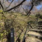 令和7年2月14日 撮影