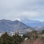 令和7年2月18日撮影