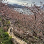 令和7年2月18日撮影