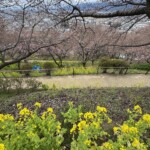 令和7年2月18日撮影