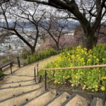 令和7年2月18日撮影