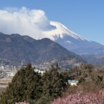 令和7年2月24日撮影