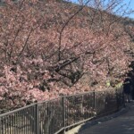 令和7年2月24日撮影