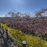 令和7年2月24日撮影