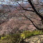 令和7年2月24日撮影