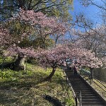 令和7年2月24日撮影