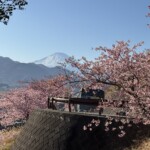 令和7年2月26日撮影