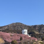 令和7年2月27日撮影