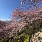 令和7年2月27日撮影