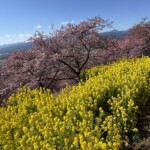 令和7年2月27日撮影