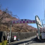 令和7年2月27日撮影