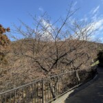 令和7年2月14日 撮影