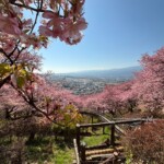 令和7年2月28日撮影