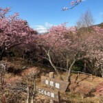 令和7年2月28日撮影