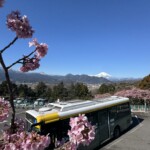 令和7年3月7日撮影