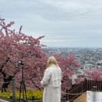 令和7年3月4日撮影