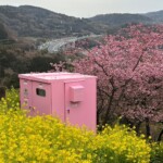 令和7年3月4日撮影