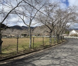 令和8年3月23日 寄七つ星ドックラン