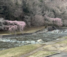 令和8年3月23日 中津川