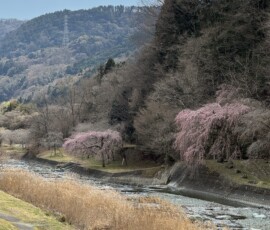 令和8年3月23日 中津川