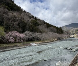 令和8年3月23日 中津川