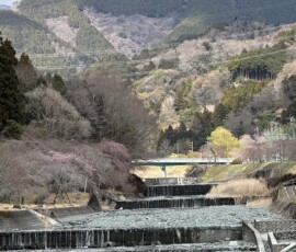令和8年3月23日 中津川