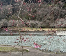 令和8年3月23日 中津川
