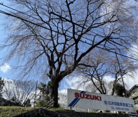 令和8年3月23日